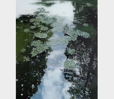 Sans titre, huile sous verre, 2023