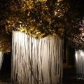 Les arbres de la Place 